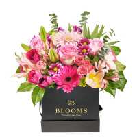 Read New Jersey Blooms Reviews